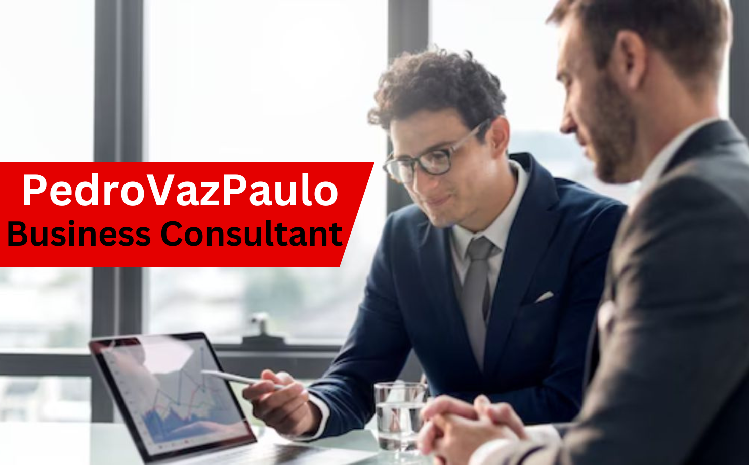 PedroVazPaulo Business Consultant